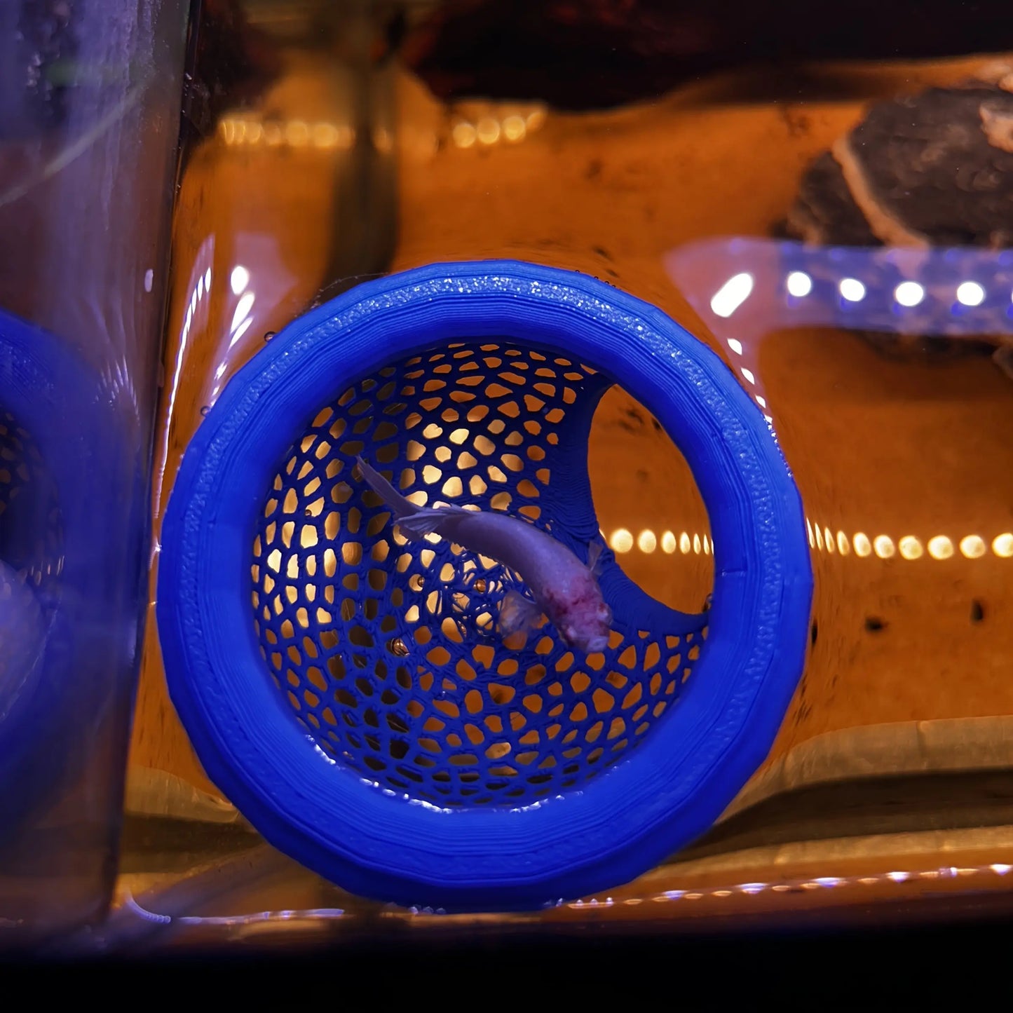 Aquatic Habitat for Betta, Peacock, and Goldfish - Floating Fish Shelter with Arch Entrance, Decorative Mini Aquarium for Small Tanks, Effortless Cleaning, No Power Needed