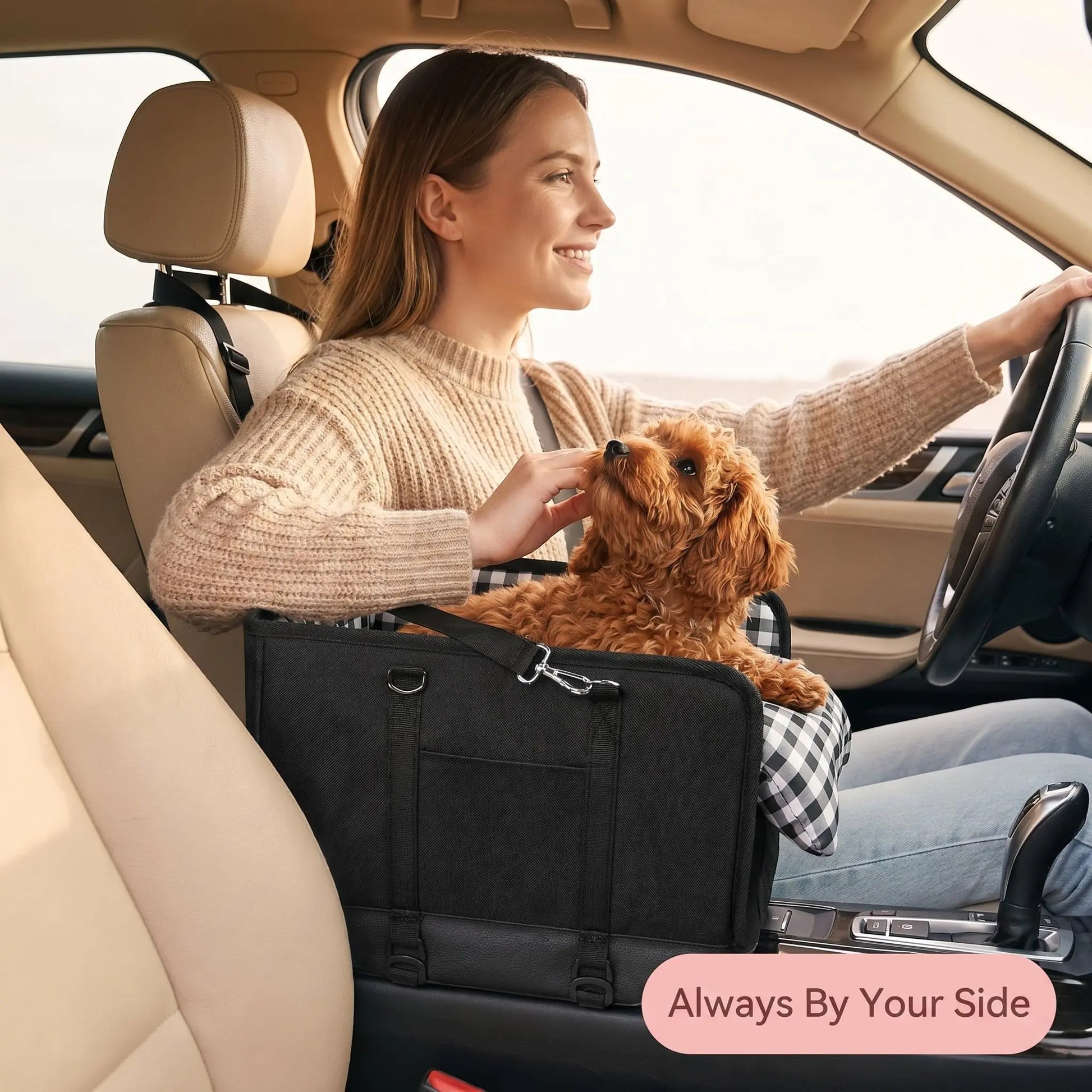 Premium Small Dog Car Seat Center Console Booster with Safety Leash - Portable Non-Slip Pet Travel Carrier for Small Breeds