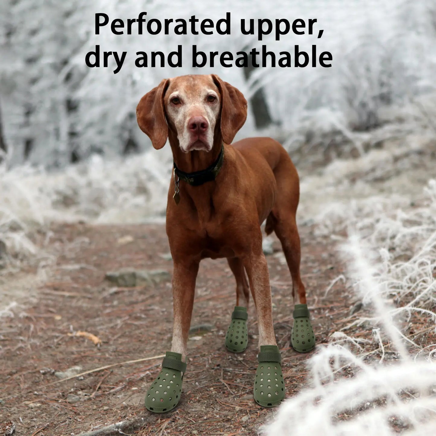 All-Season Breathable Non-Slip Pet Footwear Set of 4 for Enhanced Comfort and Paw Protection for Puppies