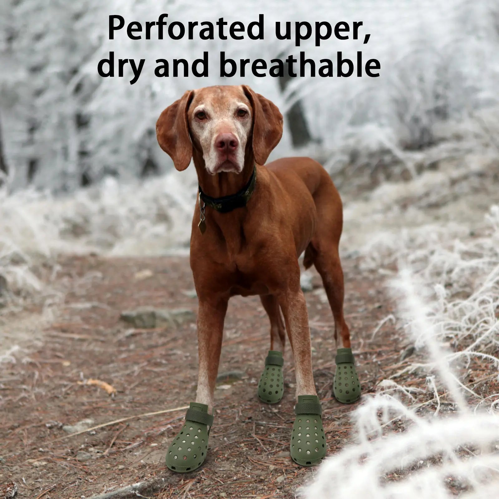 All-Season Breathable Non-Slip Pet Footwear Set of 4 for Enhanced Comfort and Paw Protection for Puppies