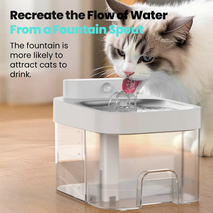 HAPAW Smart Cat Water Fountain: Advanced Filter-Free Hydration System with Wi-Fi Connectivity and Extended Battery Life for Optimal Pet Wellness