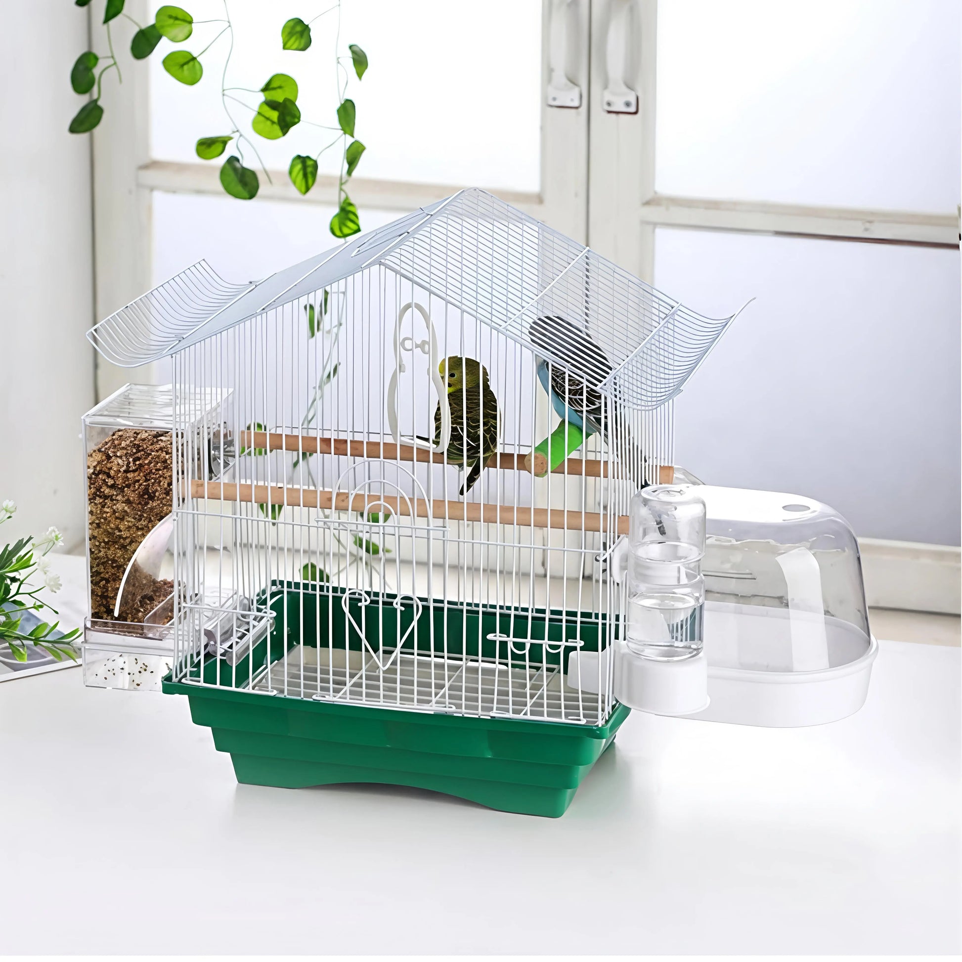 Automatic Clear Cage Bird Feeder with No-Drill Installation | Effortless Seed Dispenser for Parakeets, Cockatiels, Canaries, Lovebirds, Conures, and Cockatoos | Perfect for Small to Medium Birds and Avian Enthusiasts