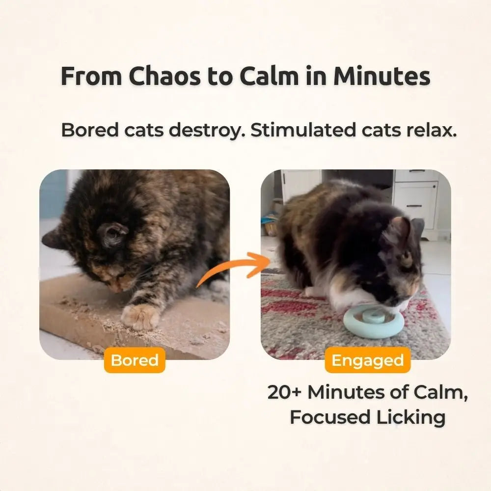 Cat Zen Relief Freezing Toy