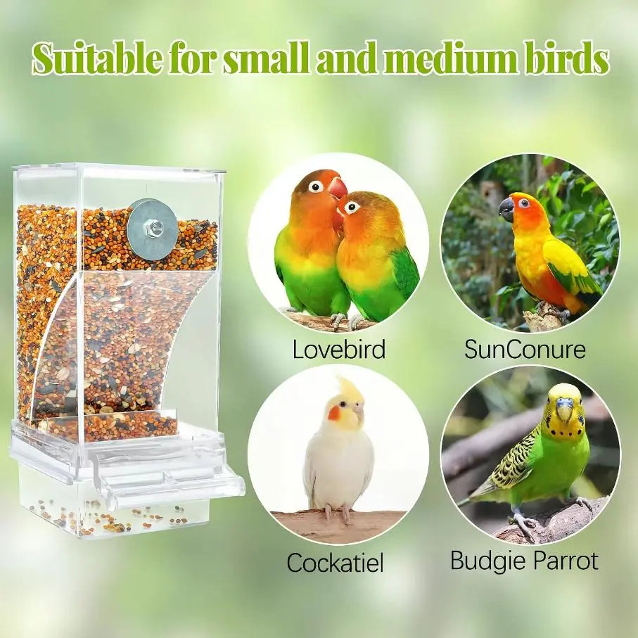 Automatic Clear Cage Bird Feeder with No-Drill Installation | Effortless Seed Dispenser for Parakeets, Cockatiels, Canaries, Lovebirds, Conures, and Cockatoos | Perfect for Small to Medium Birds and Avian Enthusiasts