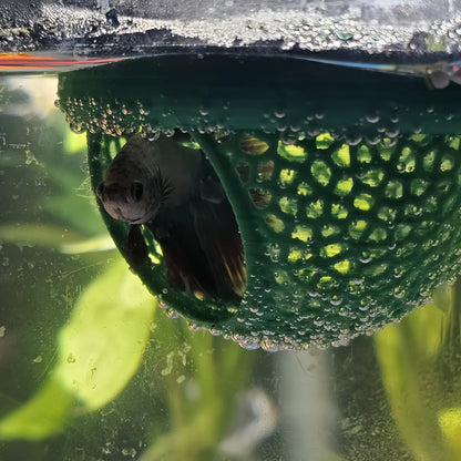 Aquatic Habitat for Betta, Peacock, and Goldfish - Floating Fish Shelter with Arch Entrance, Decorative Mini Aquarium for Small Tanks, Effortless Cleaning, No Power Needed
