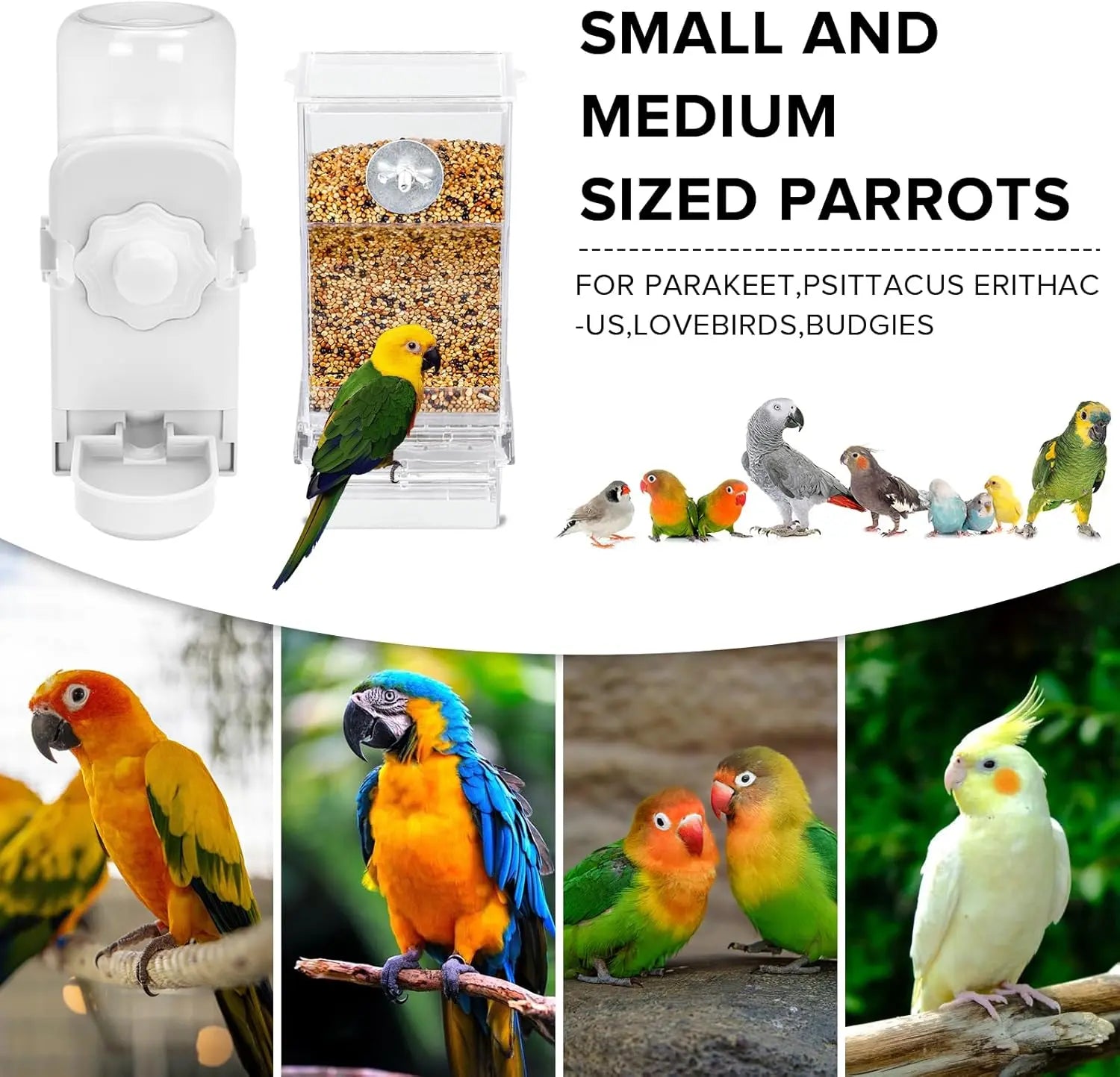 Automatic Feeder and Water Dispenser Set for Small Birds - Ideal for Parakeets, Lovebirds, Budgerigars, and Canaries