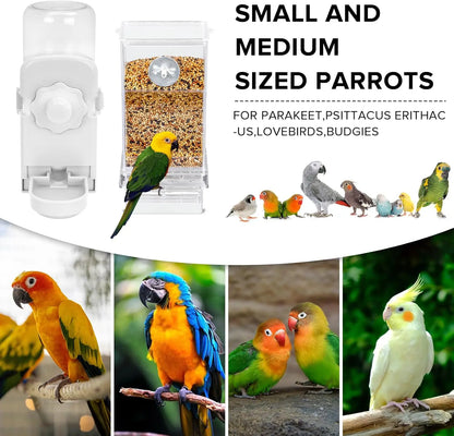 Automatic Feeder and Water Dispenser Set for Small Birds - Ideal for Parakeets, Lovebirds, Budgerigars, and Canaries